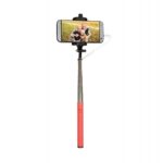 Kodak Selfie Stick