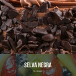 SELVA NEGRA