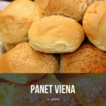 PANET DE VIENA